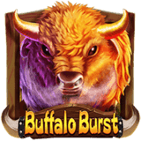 Buffalo Burst